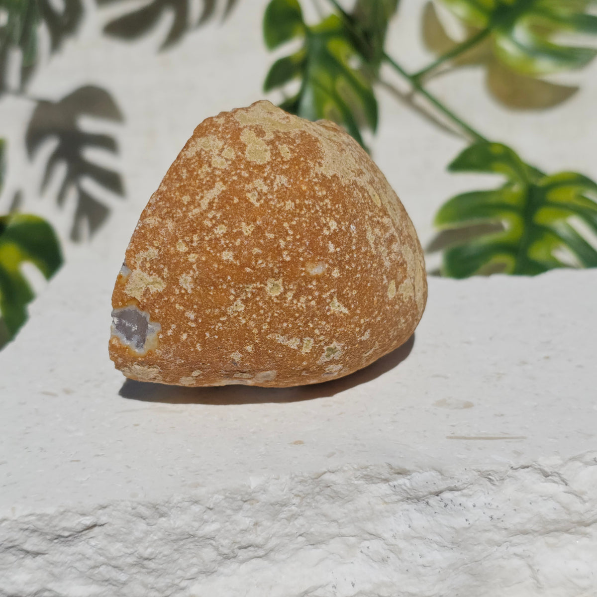 Brazilian Agate Geode (S-A)