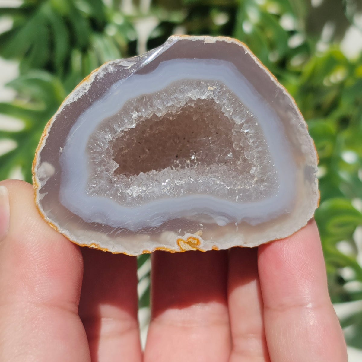 Brazilian Agate Geode (S-A)