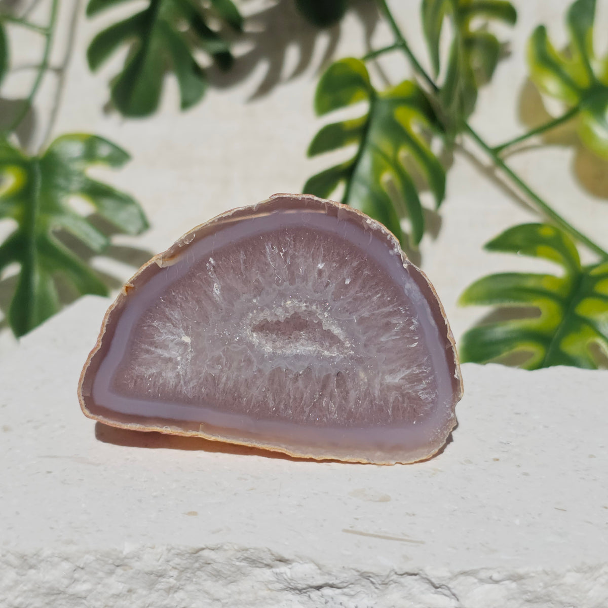 Brazilian Agate Geode (S-B)