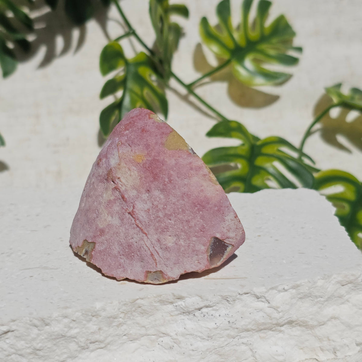 Brazilian Agate Geode (S-B)
