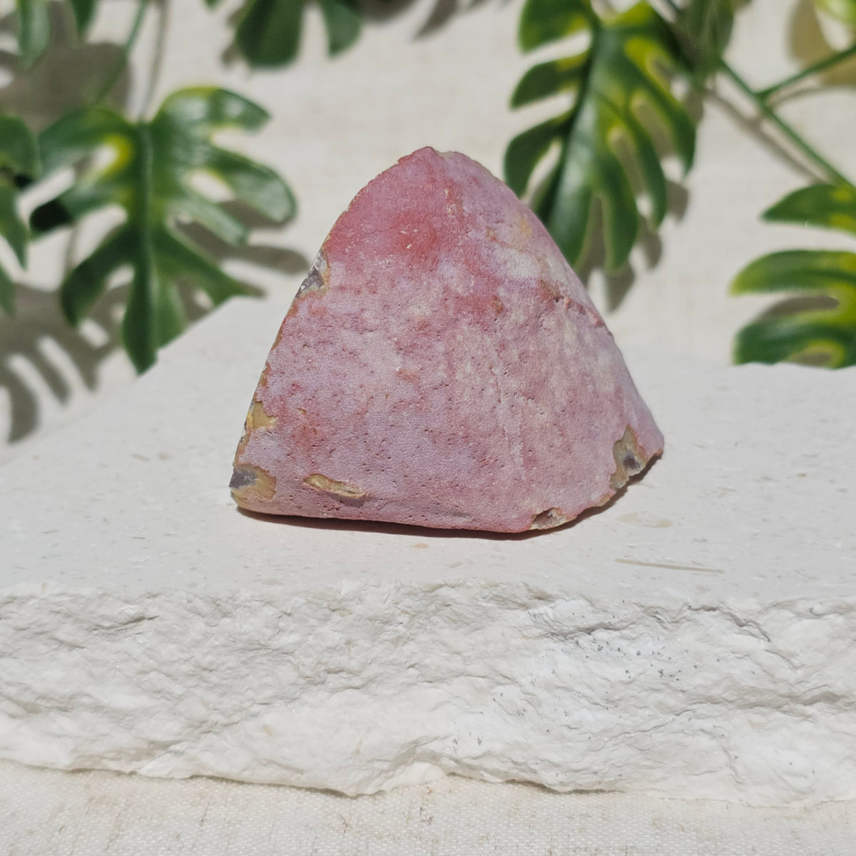 Brazilian Agate Geode (S-B)