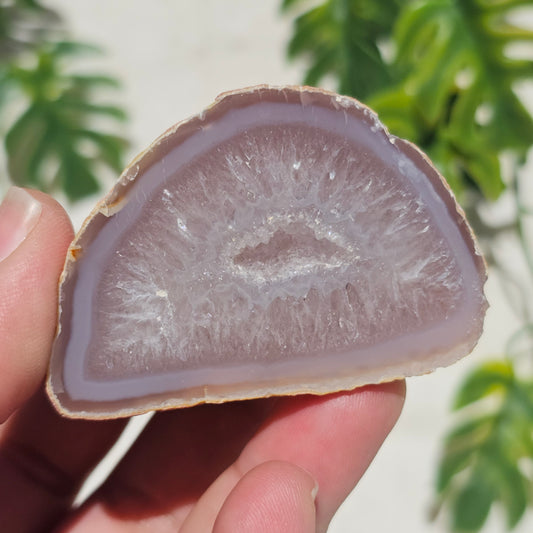 Brazilian Agate Geode (S-B)
