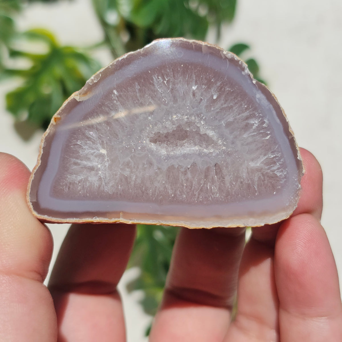 Brazilian Agate Geode (S-B)