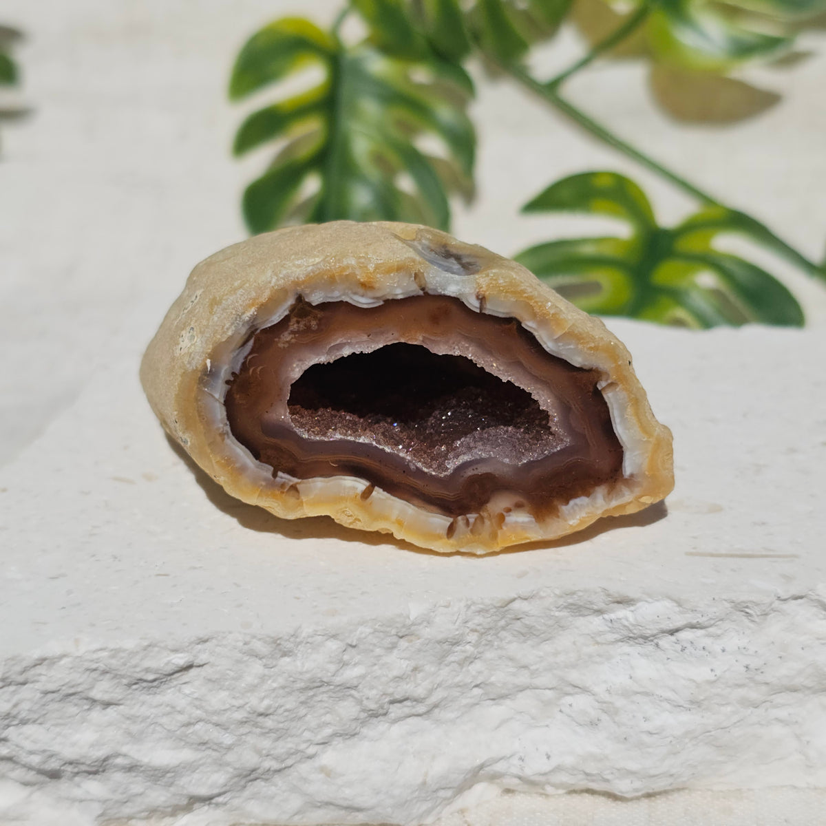 Brazilian Agate Geode (S-C)