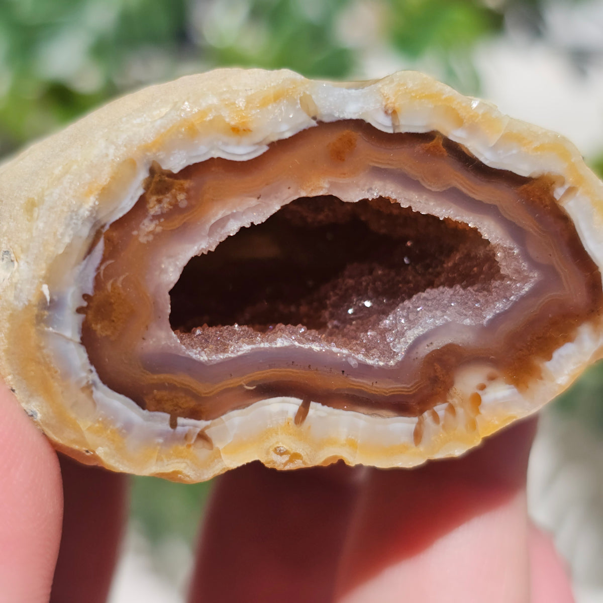 Brazilian Agate Geode (S-C)