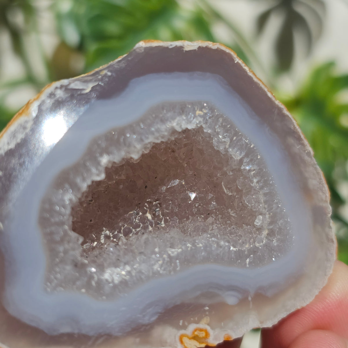 Brazilian Agate Geode (S-A)