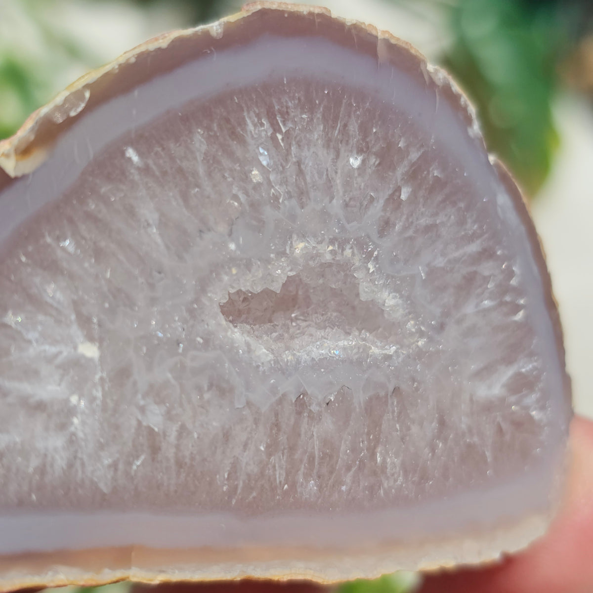 Brazilian Agate Geode (S-B)
