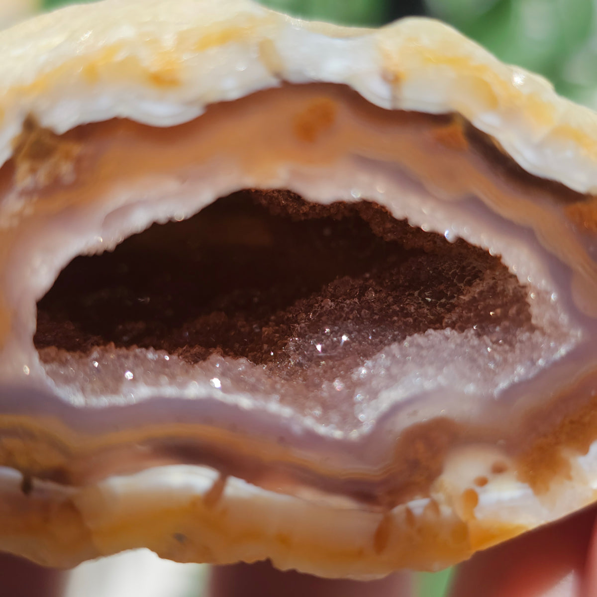 Brazilian Agate Geode (S-C)