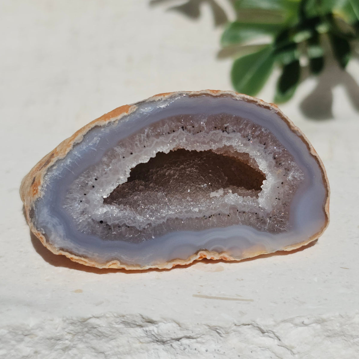 Brazilian Agate Geode (S-D)