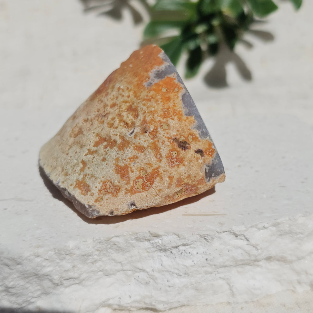 Brazilian Agate Geode (S-D)