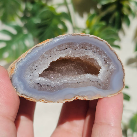 Brazilian Agate Geode (S-D)