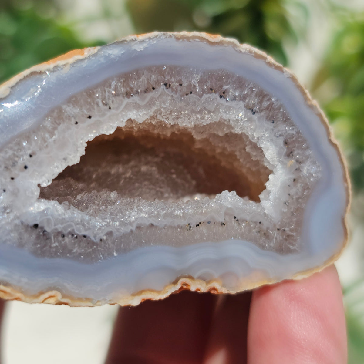 Brazilian Agate Geode (S-D)