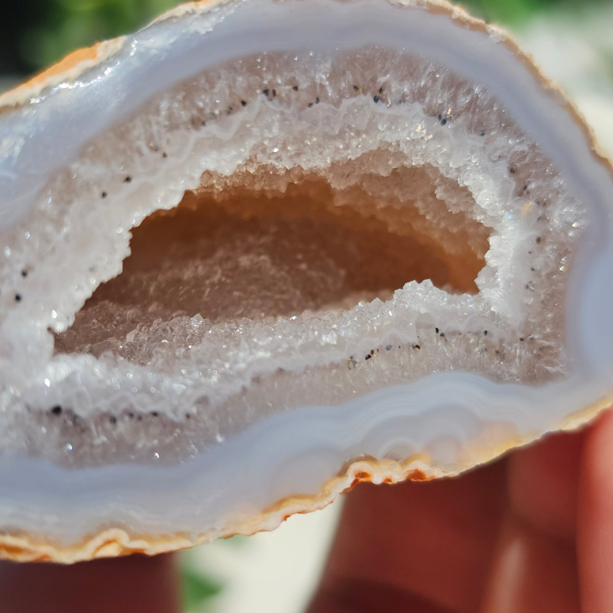 Brazilian Agate Geode (S-D)