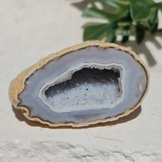 Brazilian Agate Geode (S-E)