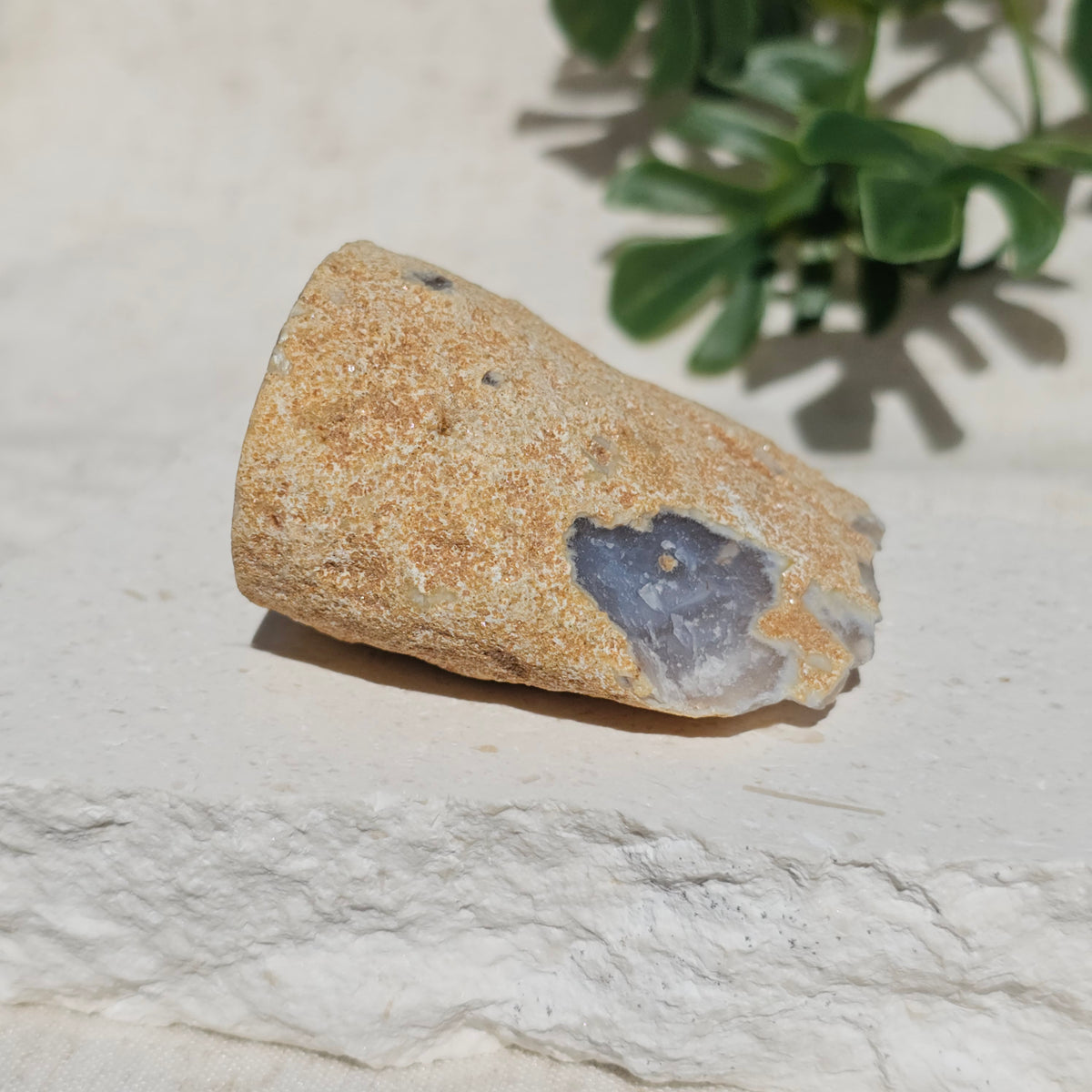 Brazilian Agate Geode (S-E)