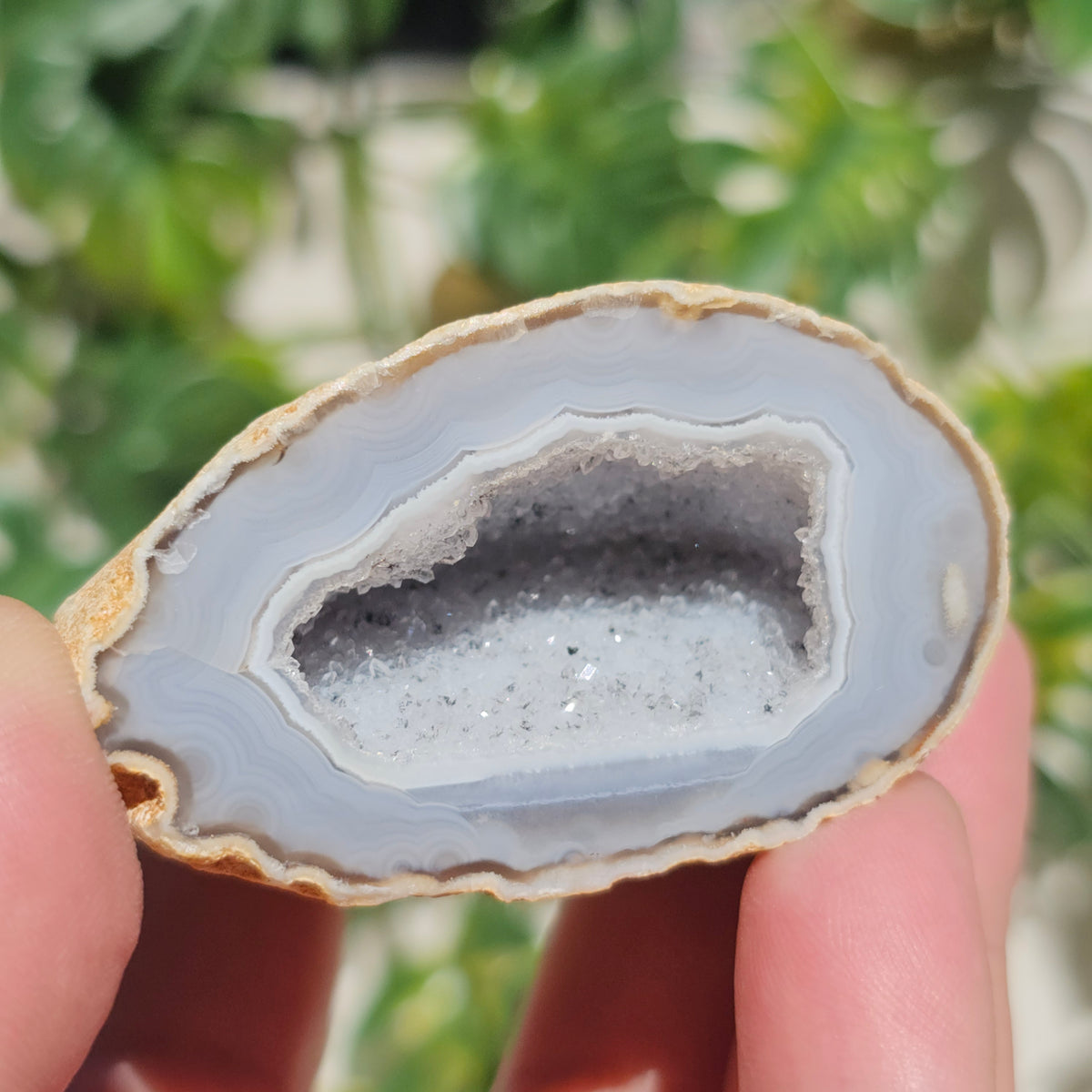 Brazilian Agate Geode (S-E)