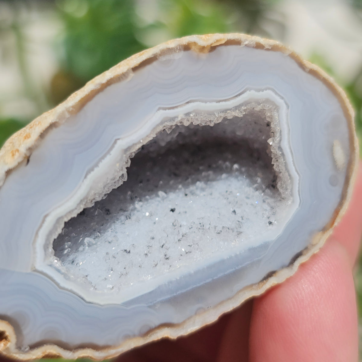 Brazilian Agate Geode (S-E)
