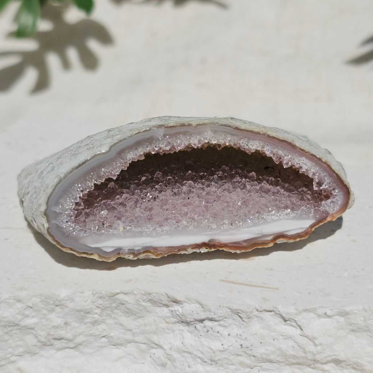 Brazilian Agate Geode (S-F)