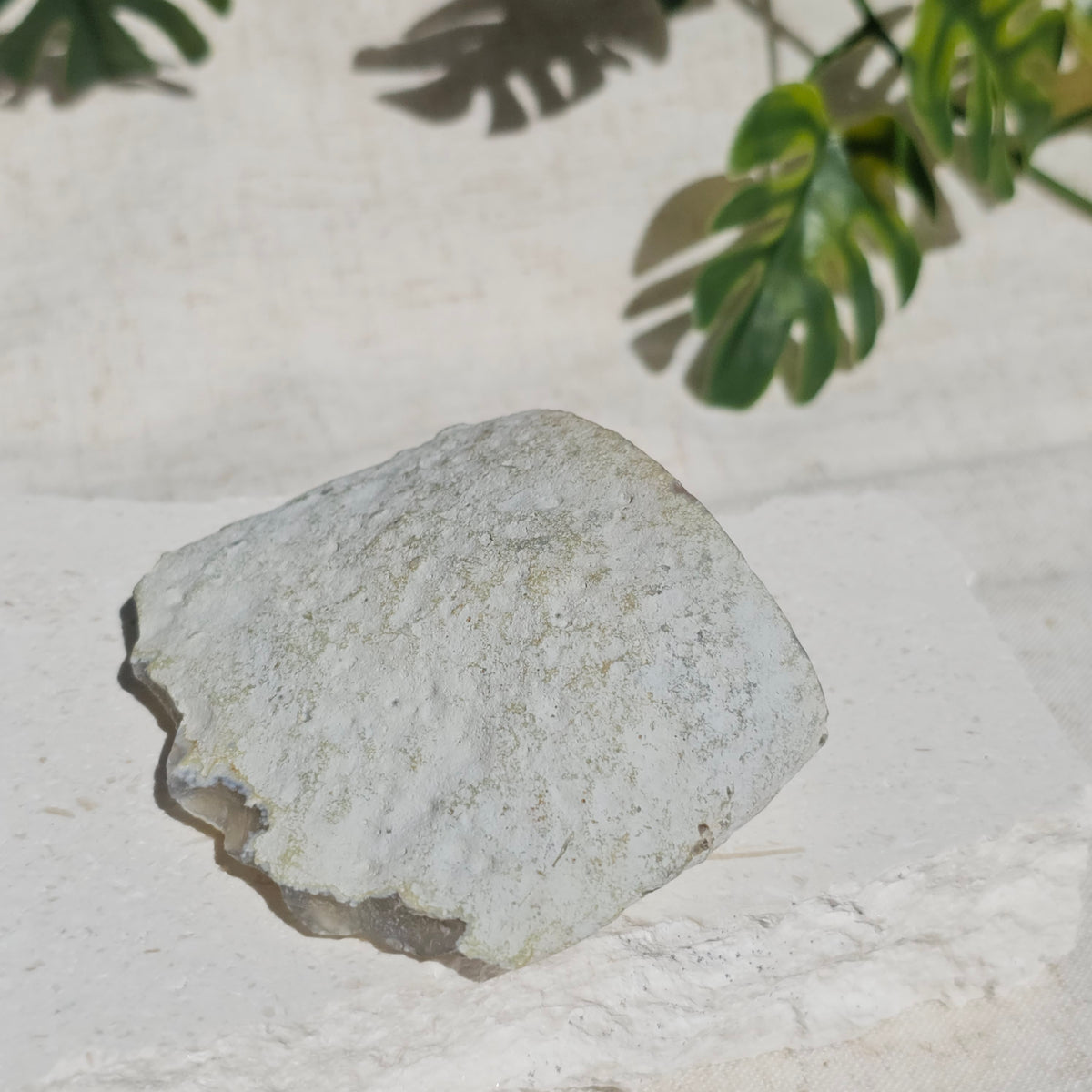 Brazilian Agate Geode (S-F)