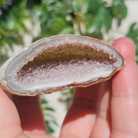 Brazilian Agate Geode (S-F)