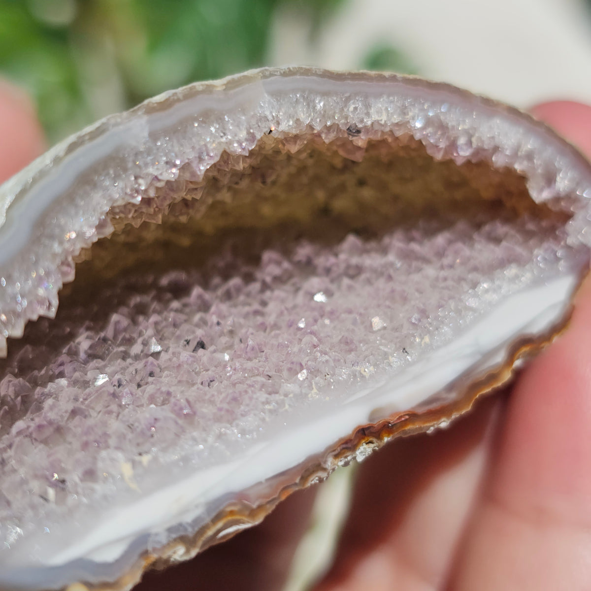 Brazilian Agate Geode (S-F)