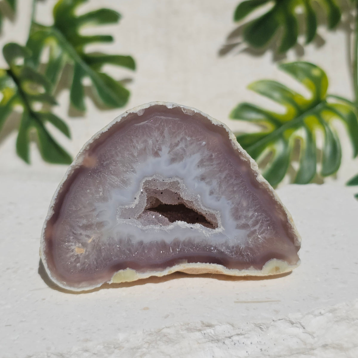 Brazilian Agate Geode (S-G)