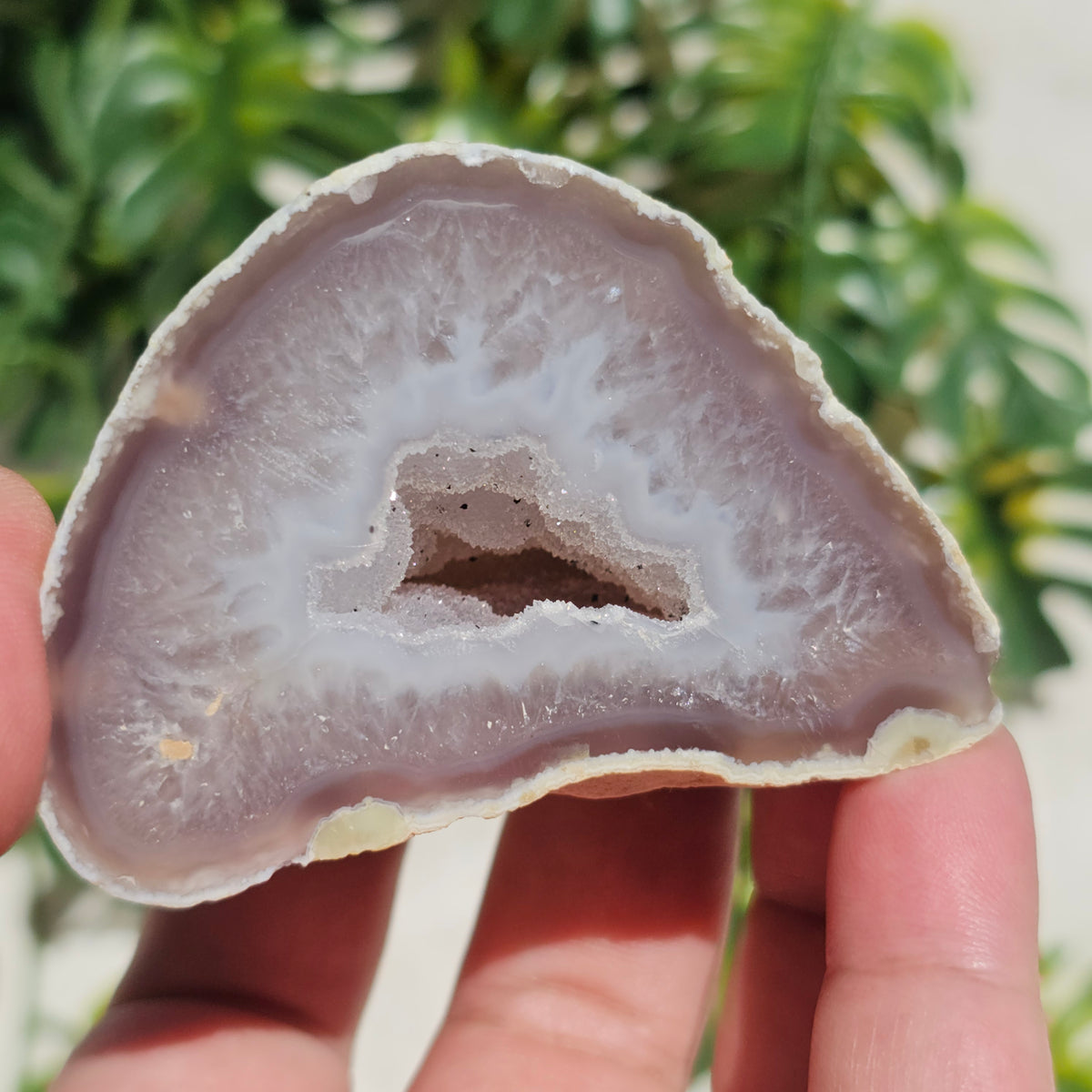 Brazilian Agate Geode (S-G)