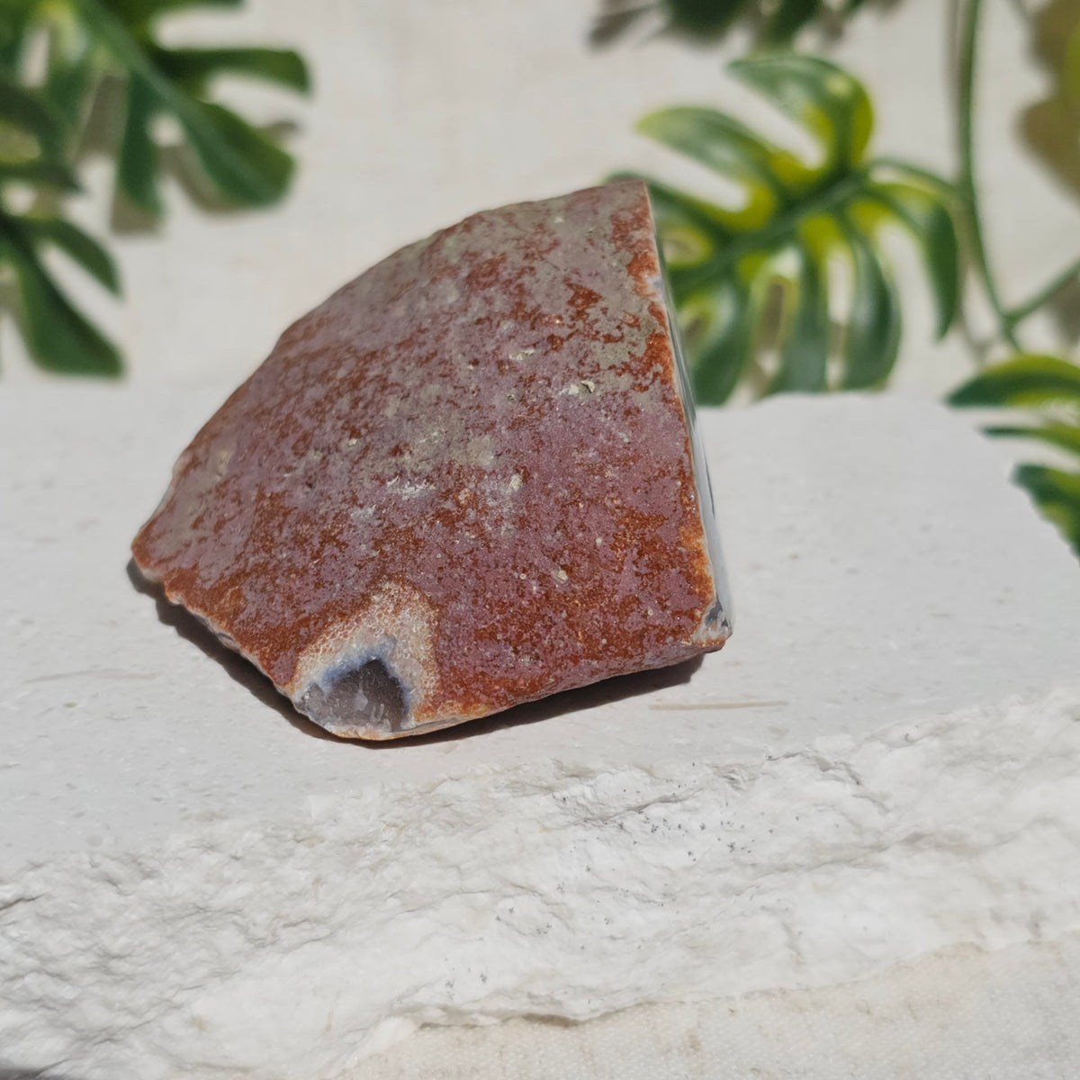 Brazilian Agate Geode (S-H)