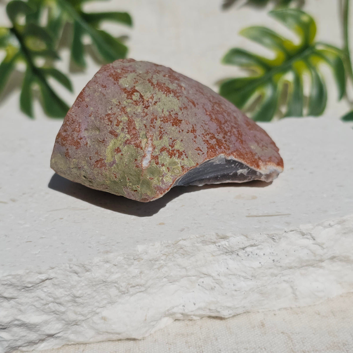 Brazilian Agate Geode (S-H)