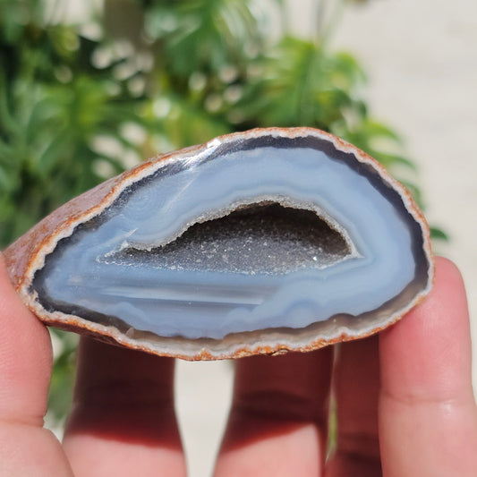 Brazilian Agate Geode (S-H)