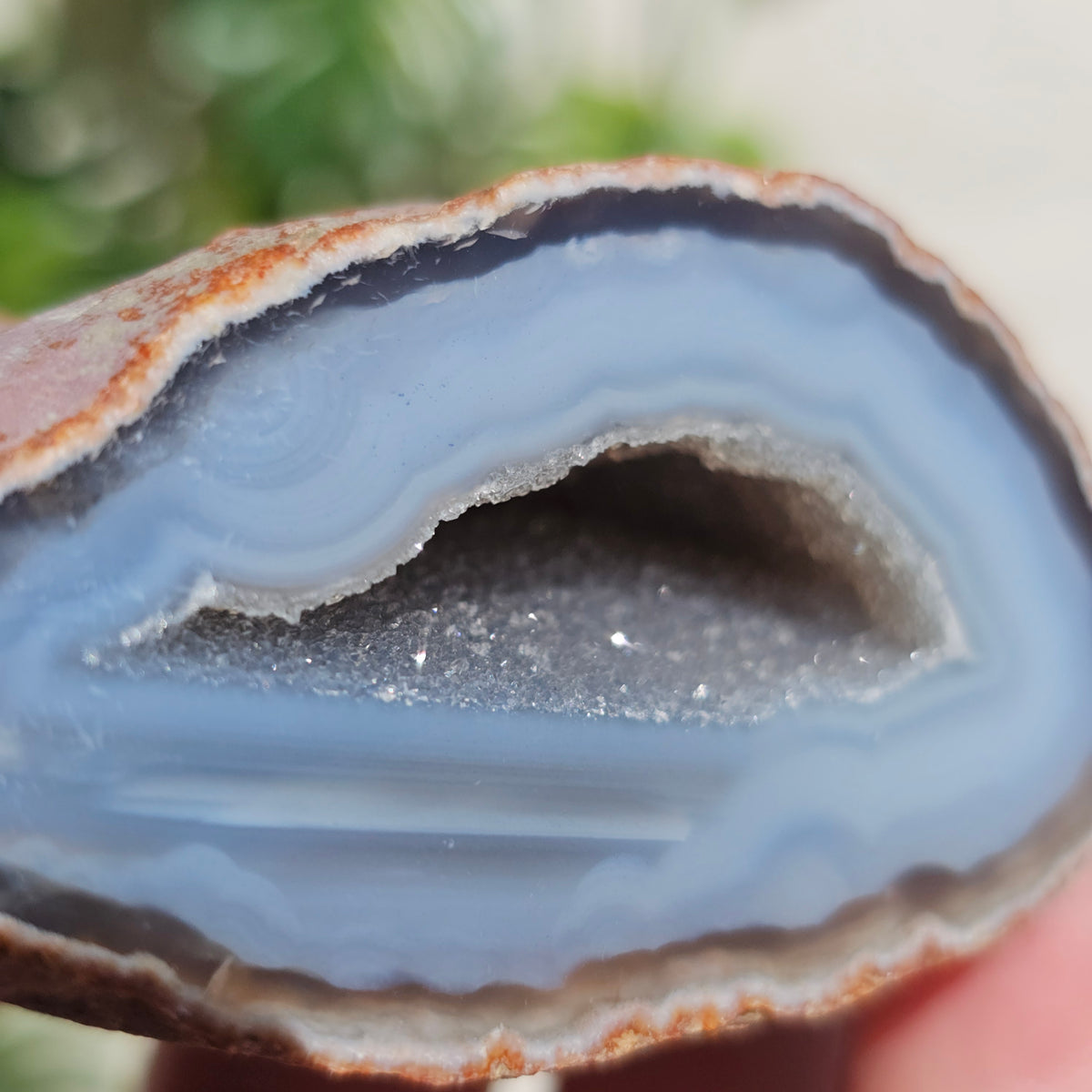 Brazilian Agate Geode (S-H)