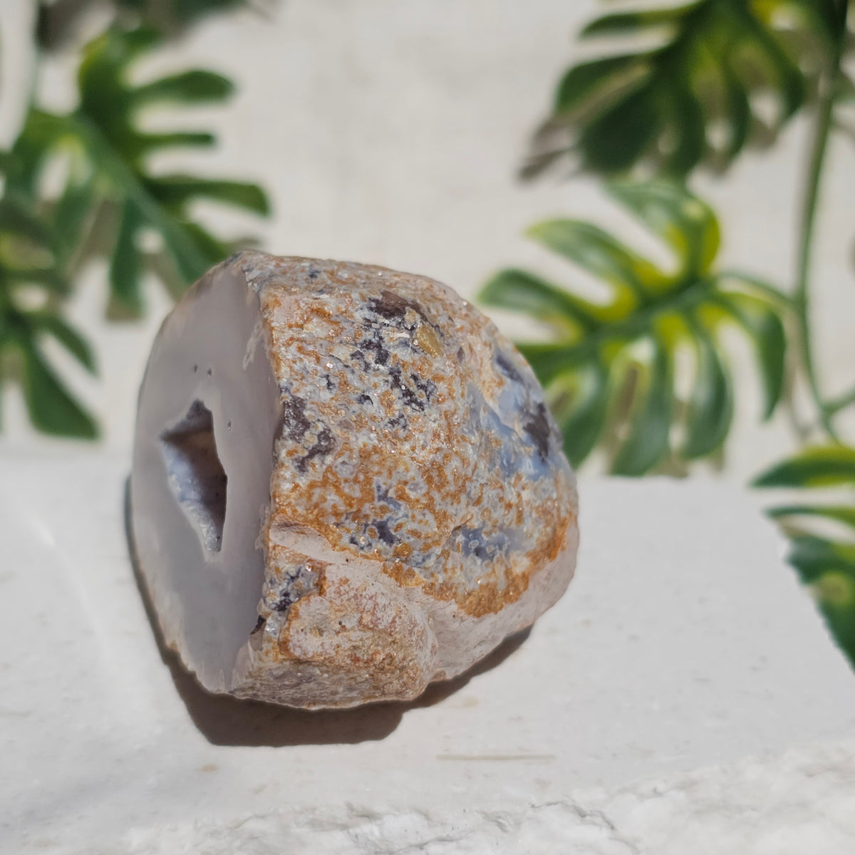 Brazilian Agate Geode (S-J)