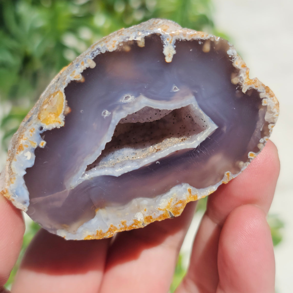 Brazilian Agate Geode (S-J)