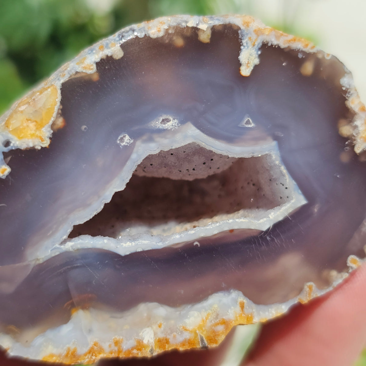 Brazilian Agate Geode (S-J)