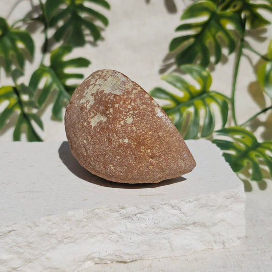 Brazilian Agate Geode (M-A)