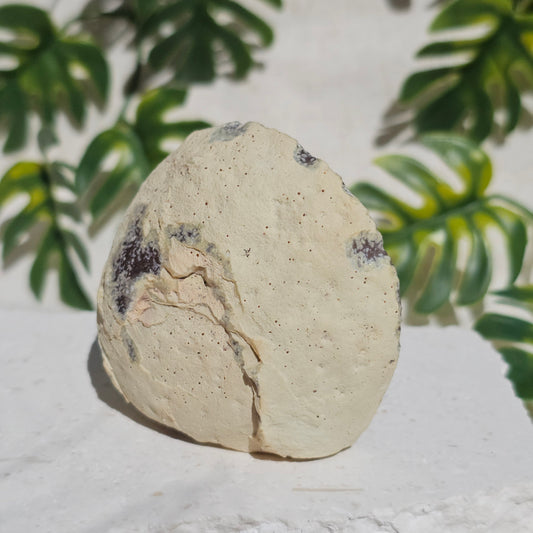 Brazilian Agate Geode (M-B)
