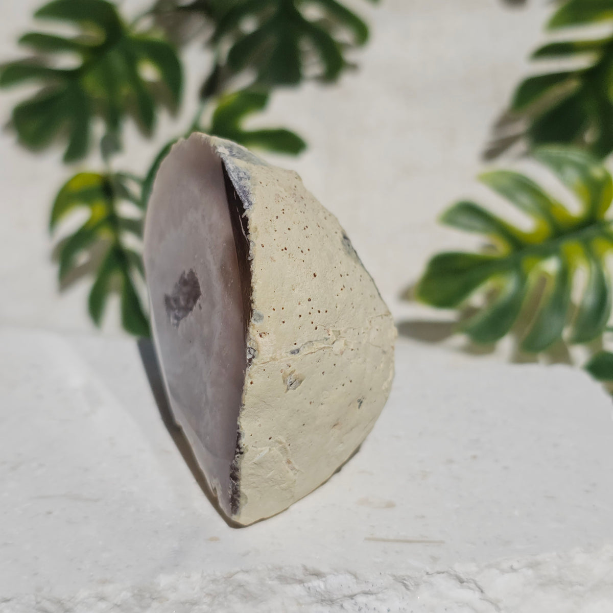 Brazilian Agate Geode (M-B)