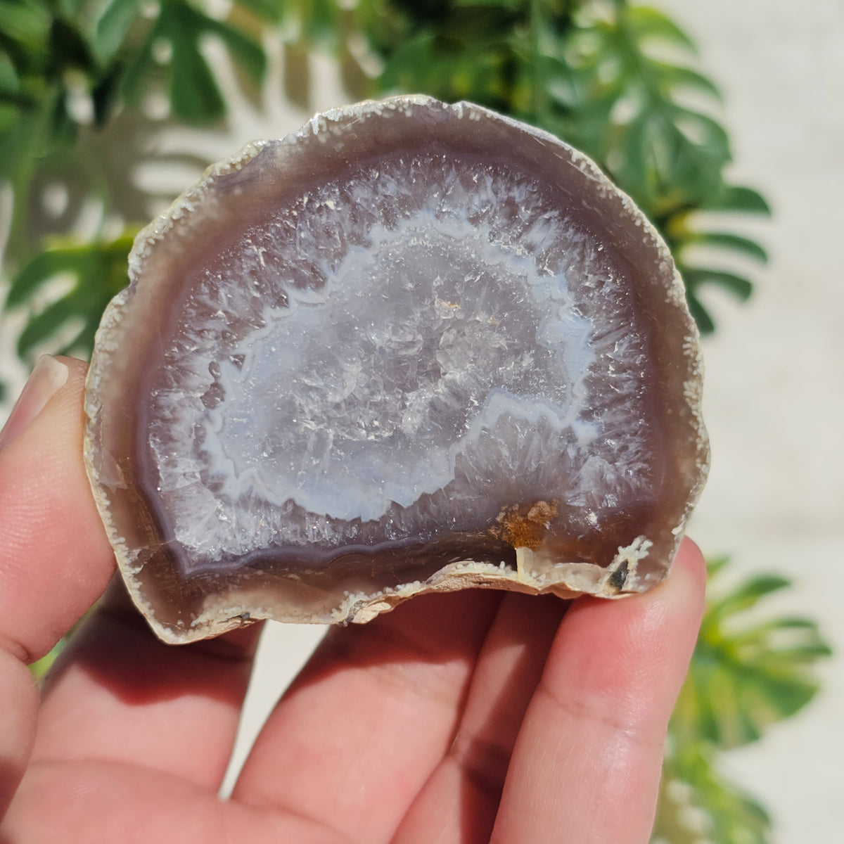 Brazilian Agate Geode (M-B)