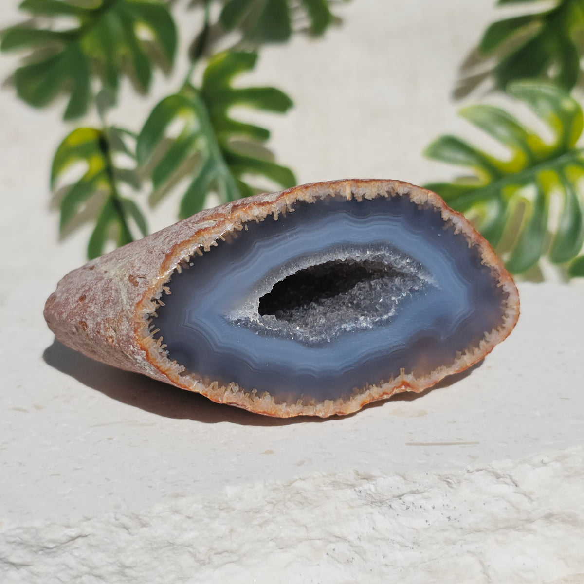 Brazilian Agate Geode (M-C)