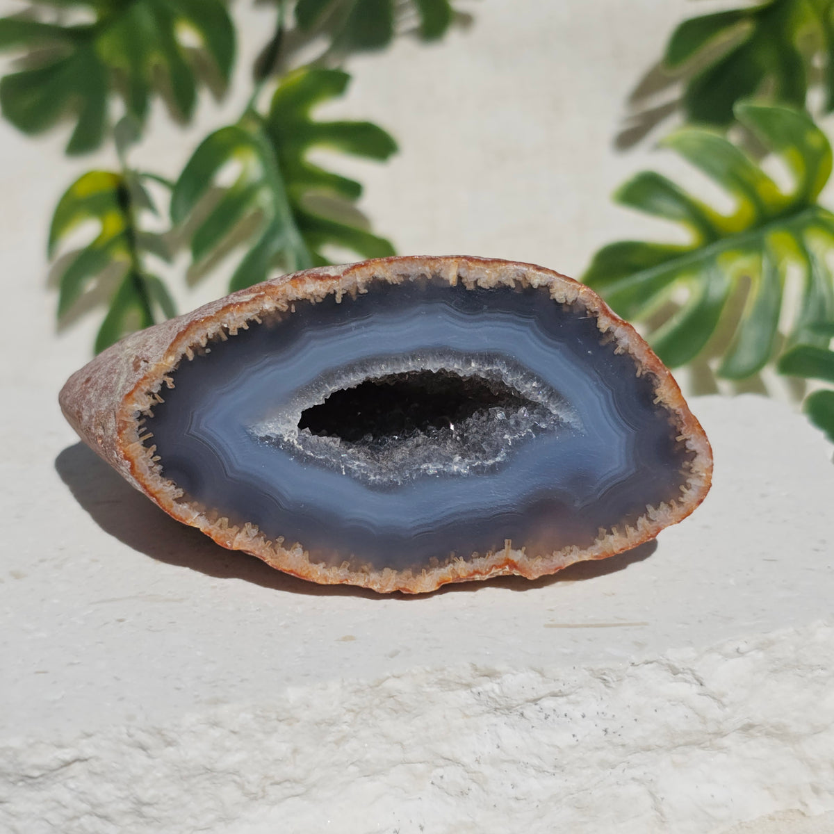 Brazilian Agate Geode (M-C)
