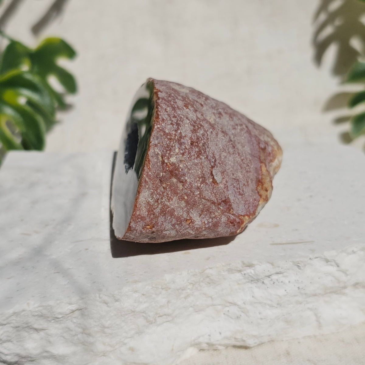 Brazilian Agate Geode (M-C)