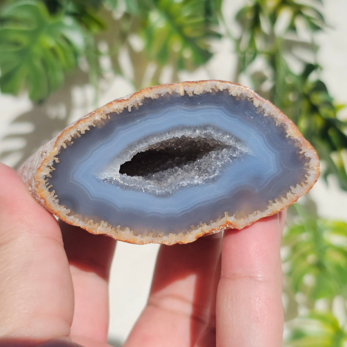 Brazilian Agate Geode (M-C)