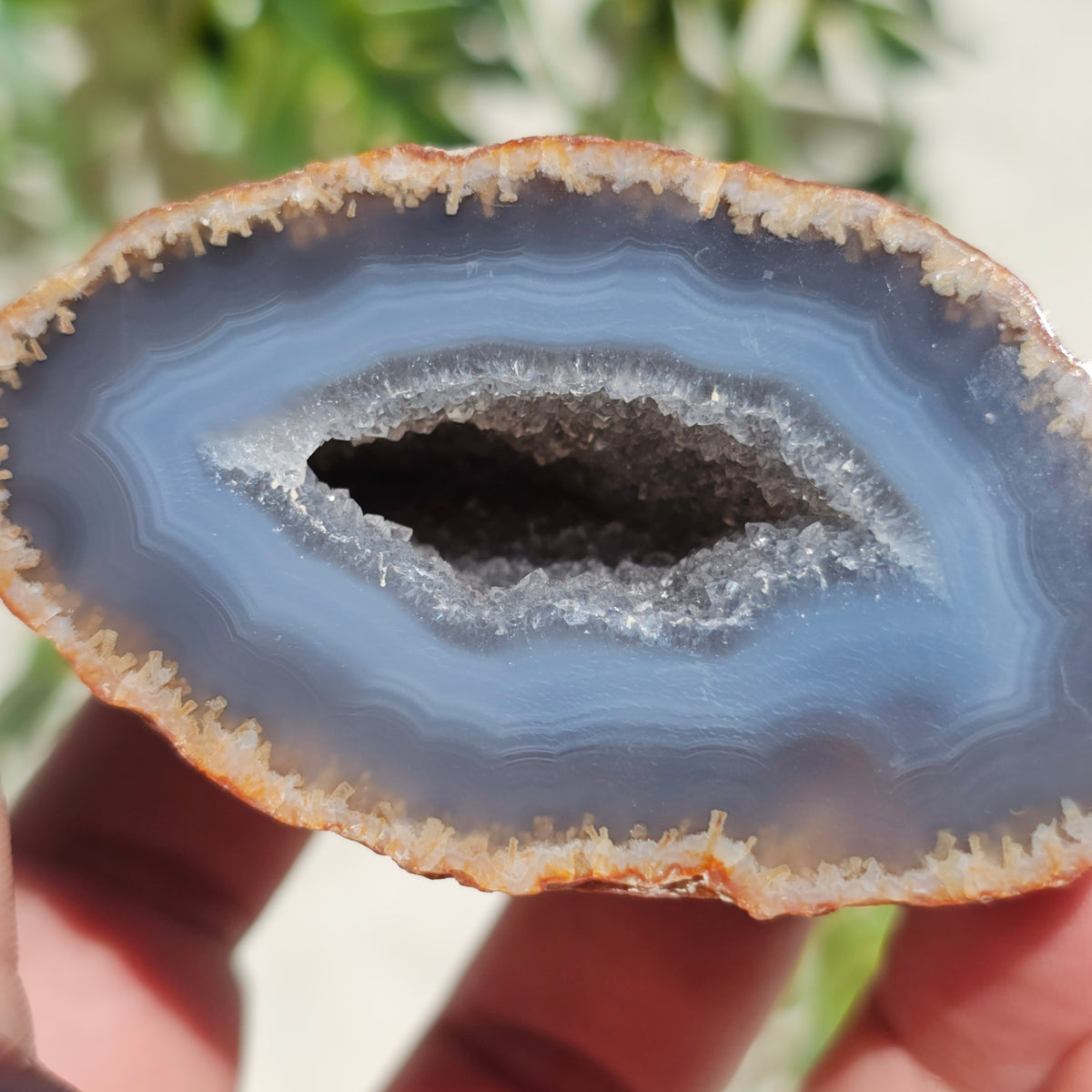 Brazilian Agate Geode (M-C)