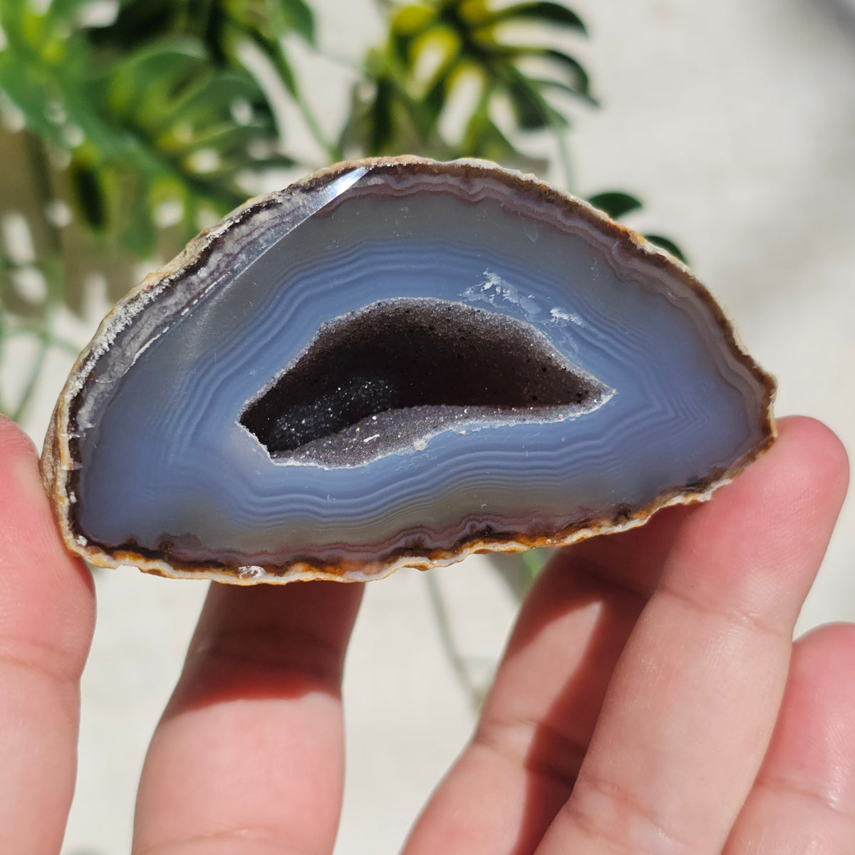 Brazilian Agate Geode (M-D)