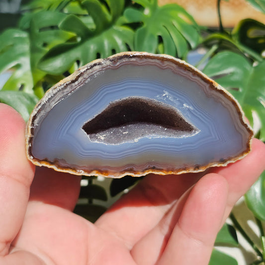 Brazilian Agate Geode (M-D)