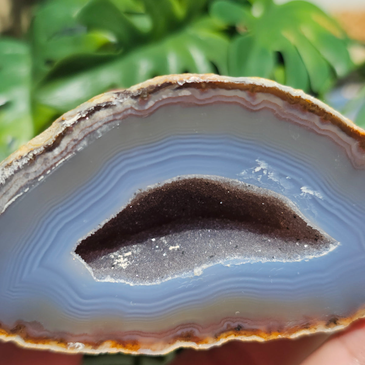 Brazilian Agate Geode (M-D)
