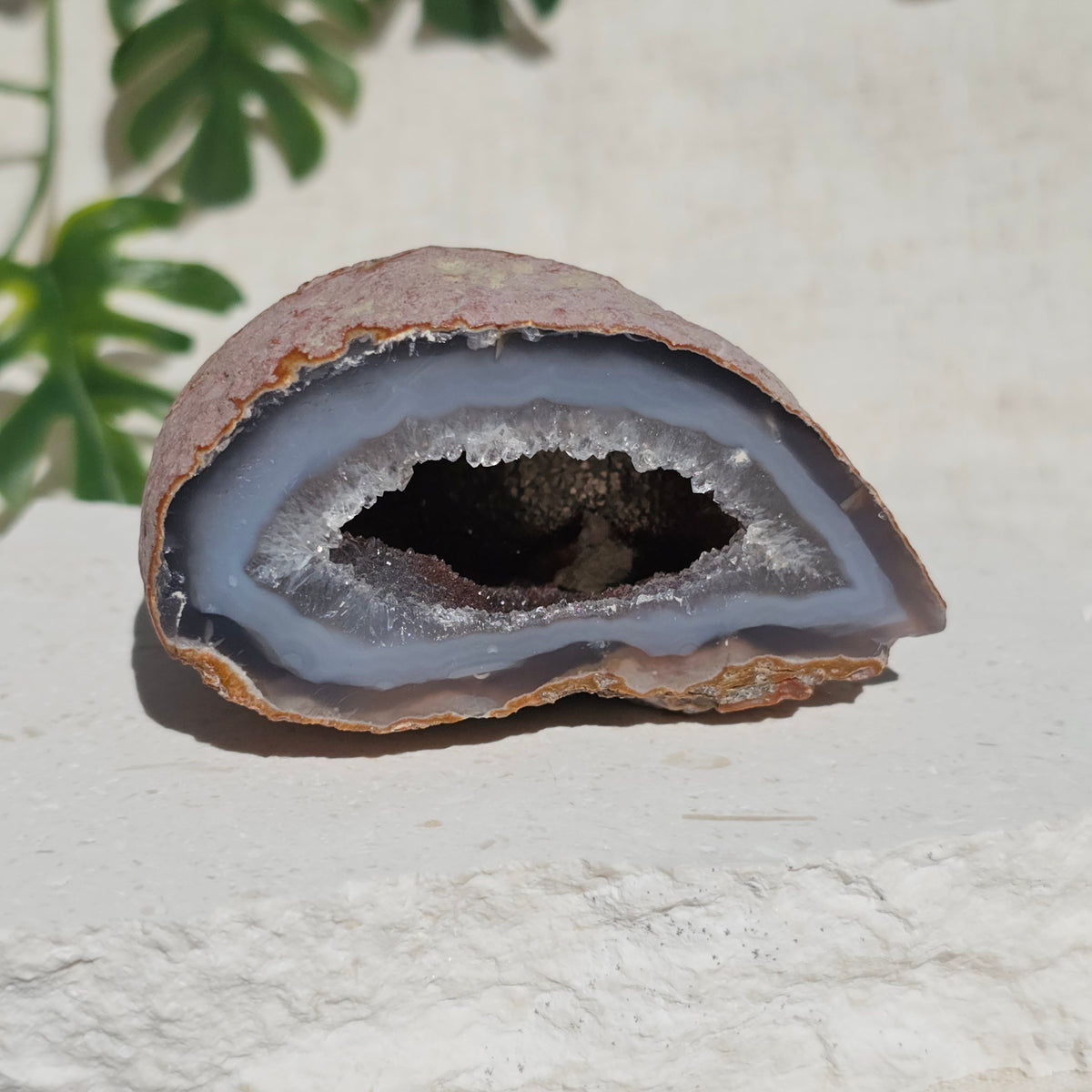 Brazilian Agate Geode (M-E)