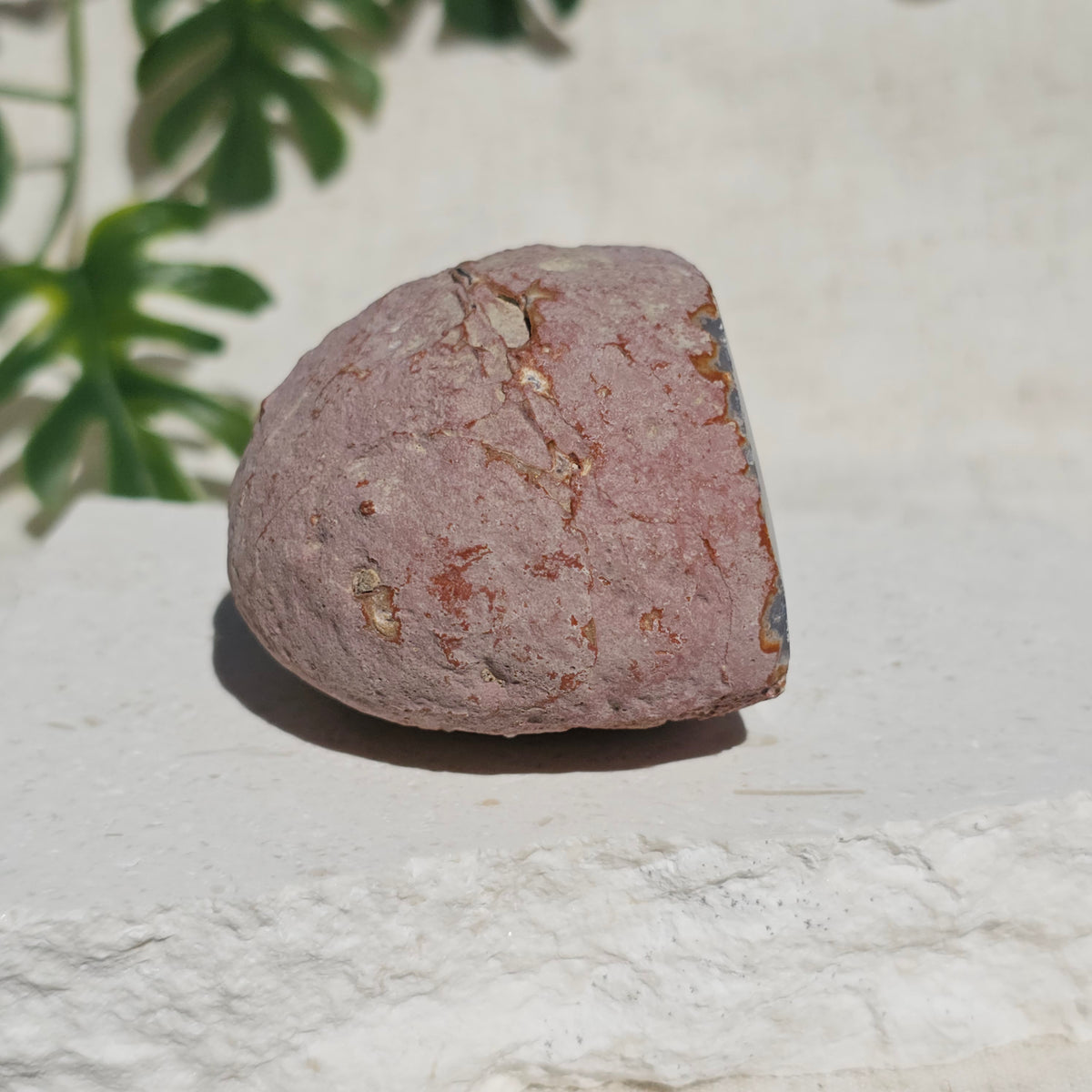 Brazilian Agate Geode (M-E)