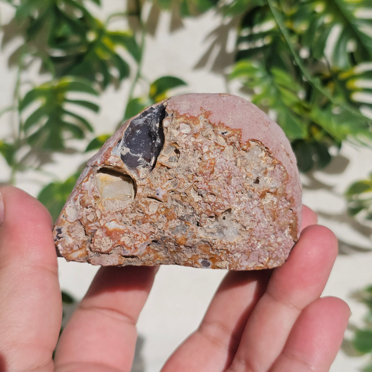 Brazilian Agate Geode (M-E)