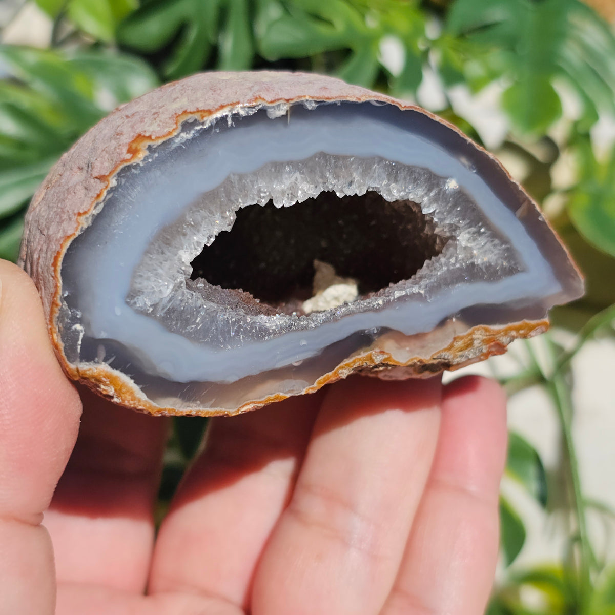 Brazilian Agate Geode (M-E)